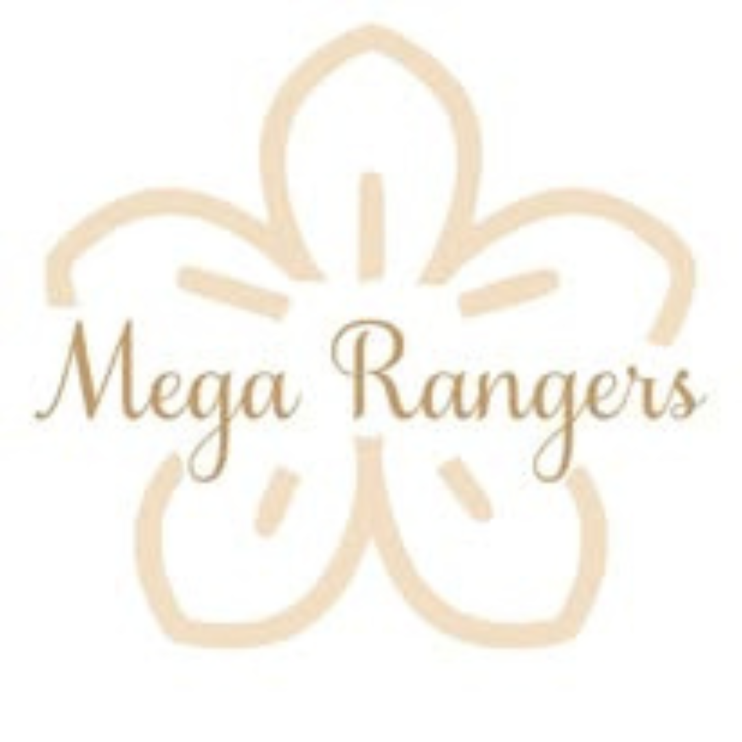 Mega Rangers