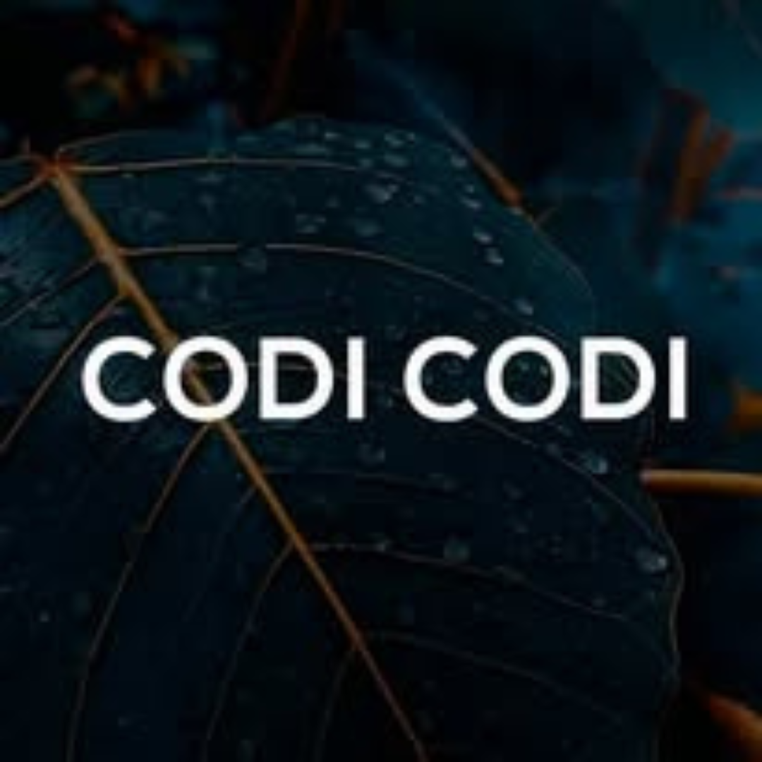 Codi Codi